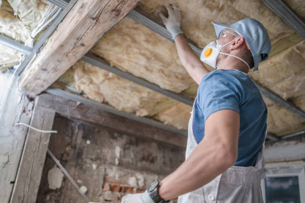 Best Specialized Insulation Services in Acushnet Center, MA